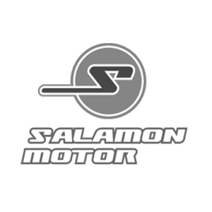 webpole partner salamon motor sopron